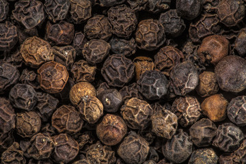 Black Pepper