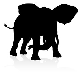 Obraz premium Elephant Animal Silhouette