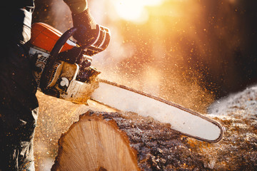 Chainsaw. Close-up of woodcutter sawing chain saw in motion, sawdust fly to sides.