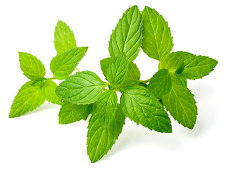 fresh peppermint leaves isolated on white