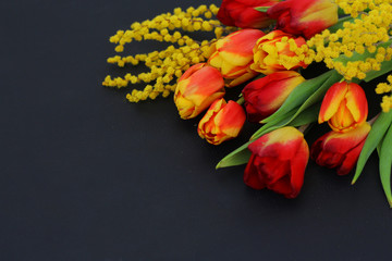 bouquet of bright tulips and Mimosa on a dark skin background