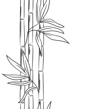 vector contour bamboo element vertical seamless pattern
