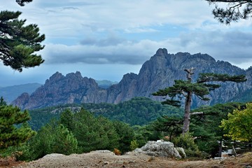 Corsica-outlook from pass Col de Bavella