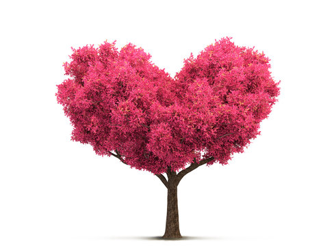 pink tree in heart shape