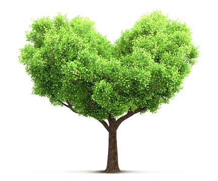 tree in heart shape 3D illustration