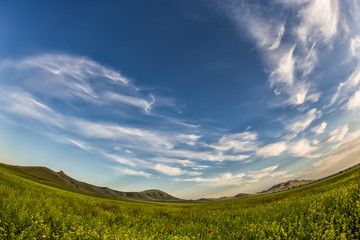 Beautiful sunset sky with white clouds over a green summer field with poppies, Dobrogea, Romania