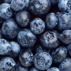 blueberries texture background. macro square blue berry