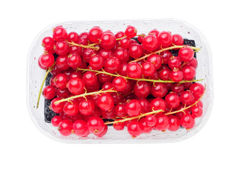 branch of red currant in plastic container on white isolated background