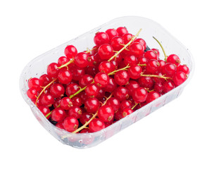 branch of red currant in plastic container on white isolated background