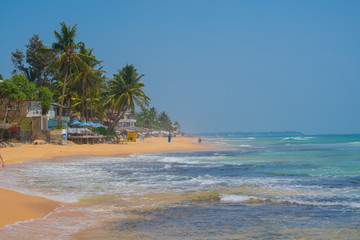 Palm trees on the shore of the Indian Ocean on the beach in Hikkaduwa, Sri Lanka.