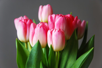 Pink tulips boquet