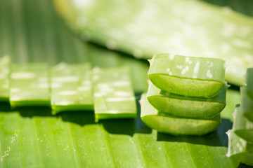 Sliced Aloe vera stack on green banana leaf