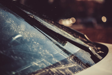 Obraz na płótnie Canvas Car window. Car. 