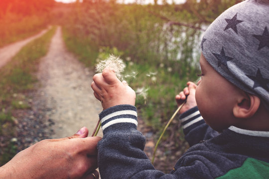 kid walking in nature