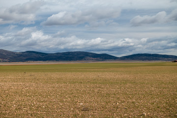 Desert field in the province of Zaragoza