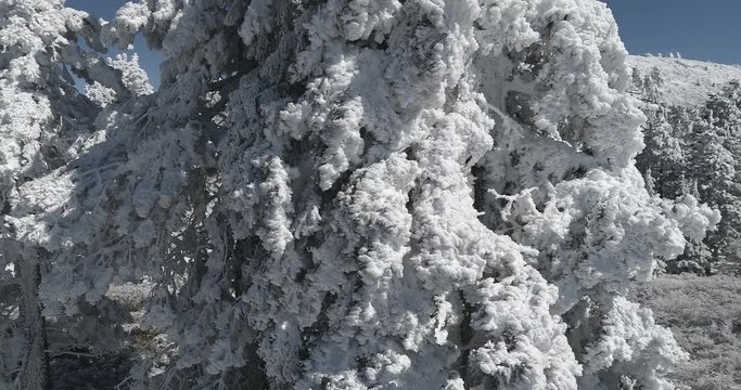 Mountain Snow Aerial view