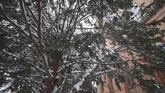 Chernivci bilder Bläddra bland 77 stockfoton, vektorer och videor