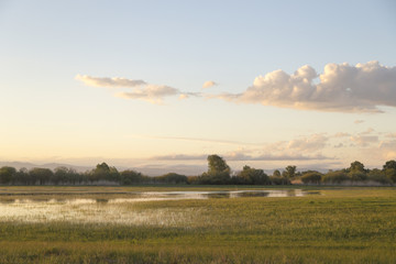 Fototapeta na wymiar A small spring lake at sunset