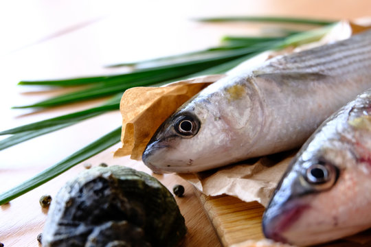 seafood