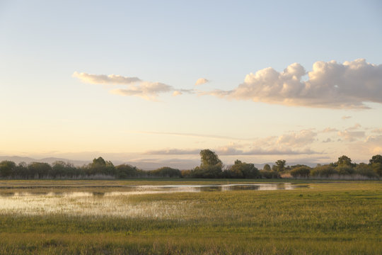 A small spring lake at sunset