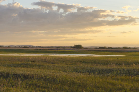 A small spring lake at sunset