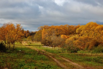 Пейзаж