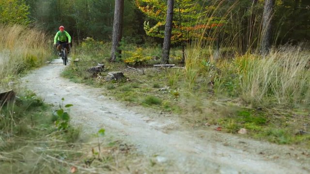 Mountain biker riding on autumn forest bike trail.