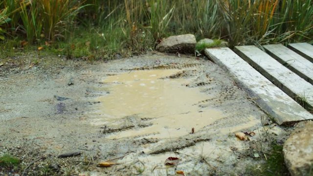 Mountain biker riding on a puddle on bike trail in autumn forest. Slider stabilized video shot with Canon 5D mark III.