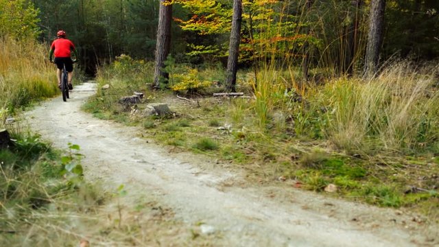 Mountain biker riding on autumn forest bike trail, cycling away from moving camera in autumn forest. Cyclist riding a bicycle in yellow fall woods. Slider stabilized video shot with Canon 5D mark III.