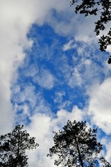 Obraz premium a piece of blue sky