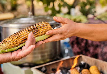 Charcoal grill sweet corns. corn cooked in barbecue barbecued corn on the roaster.