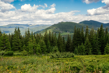 Summer mountains, green grass, and blue sky landscape
