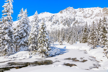 Fototapeta na wymiar Winter landscape in valley near Morskie Oko lake, Tatra Mountains, Poland