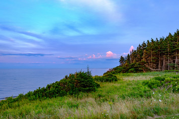 Fototapeta na wymiar Sunset falls on the forests and wildflowers on the shores of Prince Edward Island and the Gulf of St Lawrence