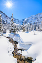 Fototapeta premium Winter landscape in valley near Morskie Oko lake, Tatra Mountains, Poland