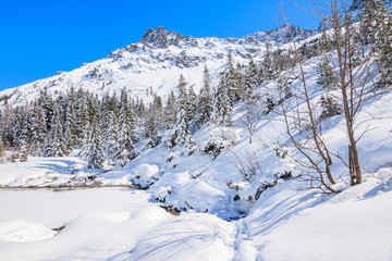 Fototapeta premium Winter landscape in valley near Morskie Oko lake, Tatra Mountains, Poland