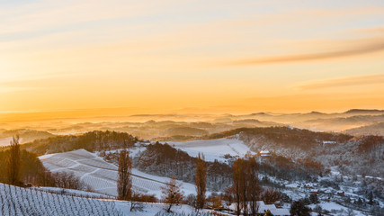 Fototapeta na wymiar View over the the vineyards an the foggy valleys of slovenia south Styria Sustria Libenitz