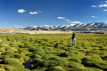 Traveller on the Tso Kar Lake in the Indian Himalaya - Karakorum mountains range spanning the borders of Pakistan, India. This region is a purpose of motorcycle expeditions organised by Indians