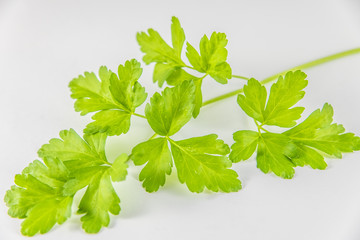 bunch of organic parsley