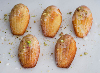 Beautiful cookies shell Madeleine close-up on the table. 