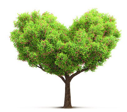 blossom tree in heart shape 3D illustration