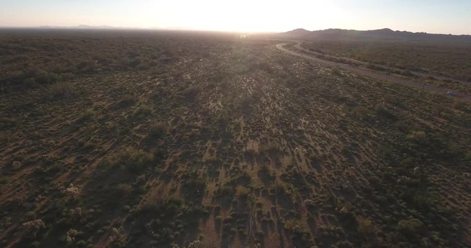 Flying over cactus field with road to the right - Drone Aerial 4K Arizona desert cactus, trail, adventure, discovery landscape, cholla, beautiful.