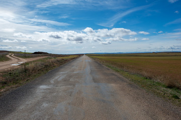 Road through the countryside of the province of Zaragoza.