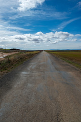 Road through the countryside of the province of Zaragoza.