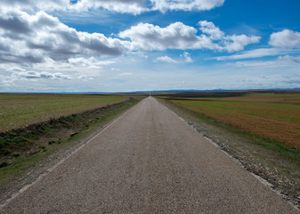 Road through the countryside of the province of Zaragoza.
