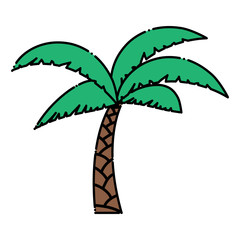 Tropical palm icon