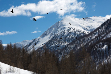 Montagnes et chalets sous la neige - Nevache - 
 Hautes-Alpes