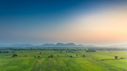 Green rice fild with mountain evening sky