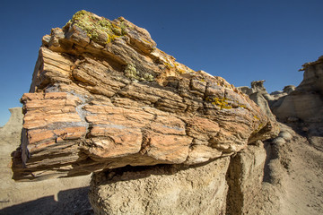Petrified log, Bisti Badlands