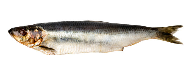 Fish herring on a white background isolated.